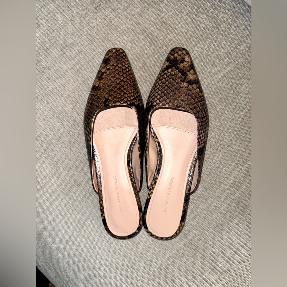 Banana Republic Snake Flats